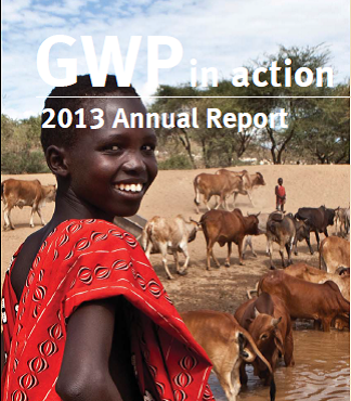 Annual report 2013 front page