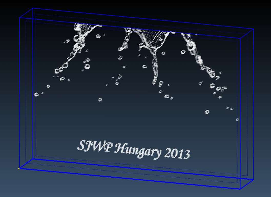 SJWP Hungary 2013