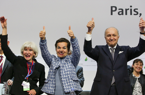 COP21 adoption